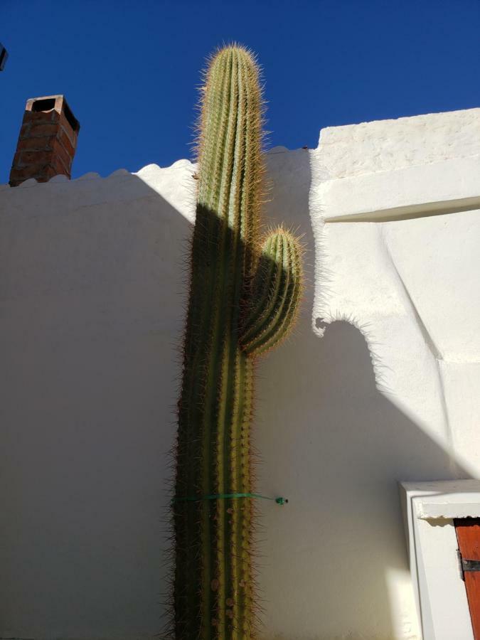 Casa Cactus Cafayate Exterior foto